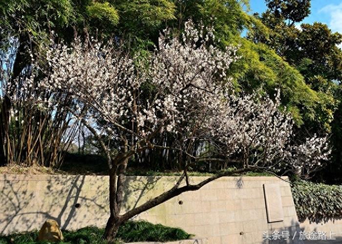 太仓休闲好去处——弇山园