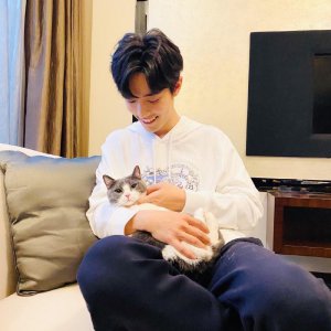 ​「盘点」来看看明星家都养什么猫？