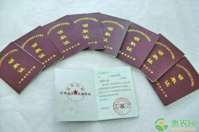 ​农村五保户和低保户有什么区别？能同时享受吗？一文读懂两者关系