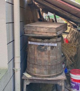 ​神奇的诱蜂大法