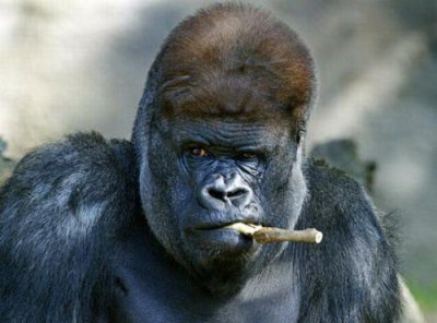 ​段子十则：赵兄托你帮我办点事