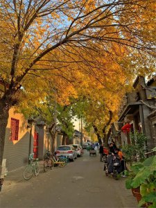 ​北京深秋的故事~这里才是正宗的老北京