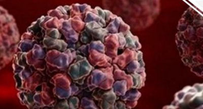 ​天津理工大学通报部分学生呕吐、腹泻症状病因：感染诺如病毒