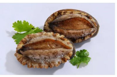 ​关于进口澳大利亚鲍鱼的知识你了解多少？进口流程是什么？