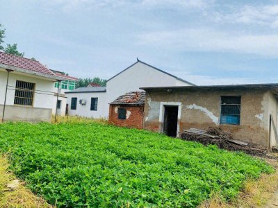 ​农村宅基地改革新规！宅基地、无证房屋一定要看！