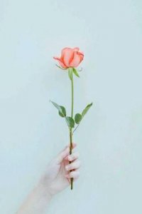 ​他说，一辈子只疼你一个人