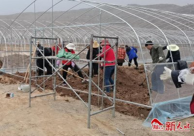 ​叶堡镇：“大棚经济”富了村民 富了集体