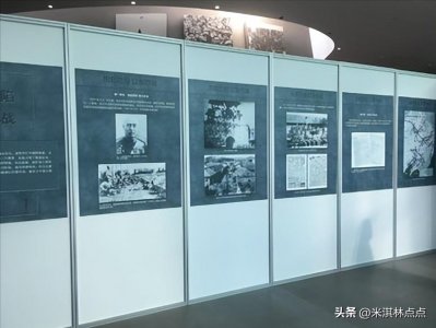 ​侵华日军制造的平顶山惨案真实史记