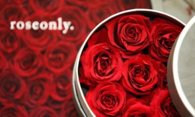 ​万里挑一 ROSEONLY永生花为爱正名