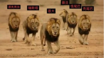 ​一年内杀死100多头狮子，“坏男孩联盟”究竟有多可怕