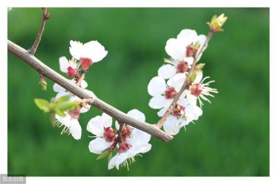 ​唐代朱庆馀优美诗作，妆罢低声问夫婿，画眉深浅入时无