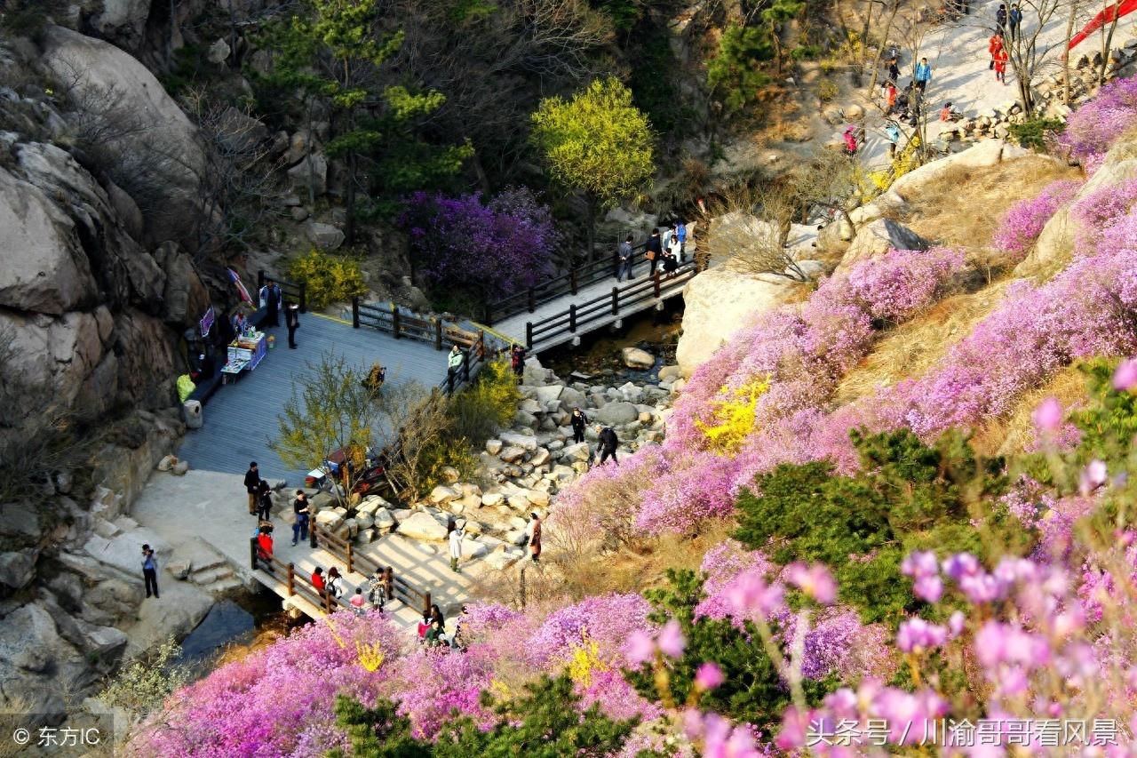 山东青岛大珠山