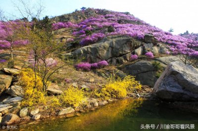 ​山东青岛大珠山