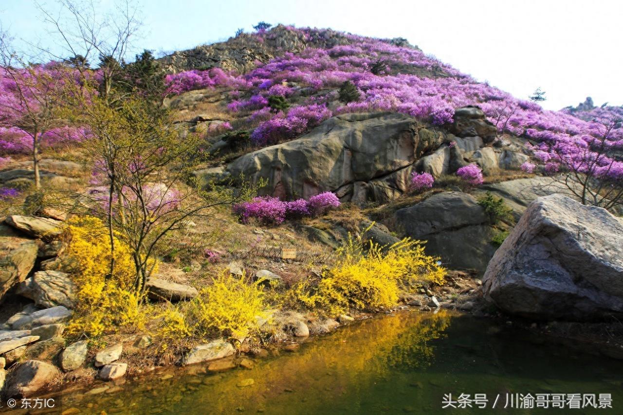 山东青岛大珠山