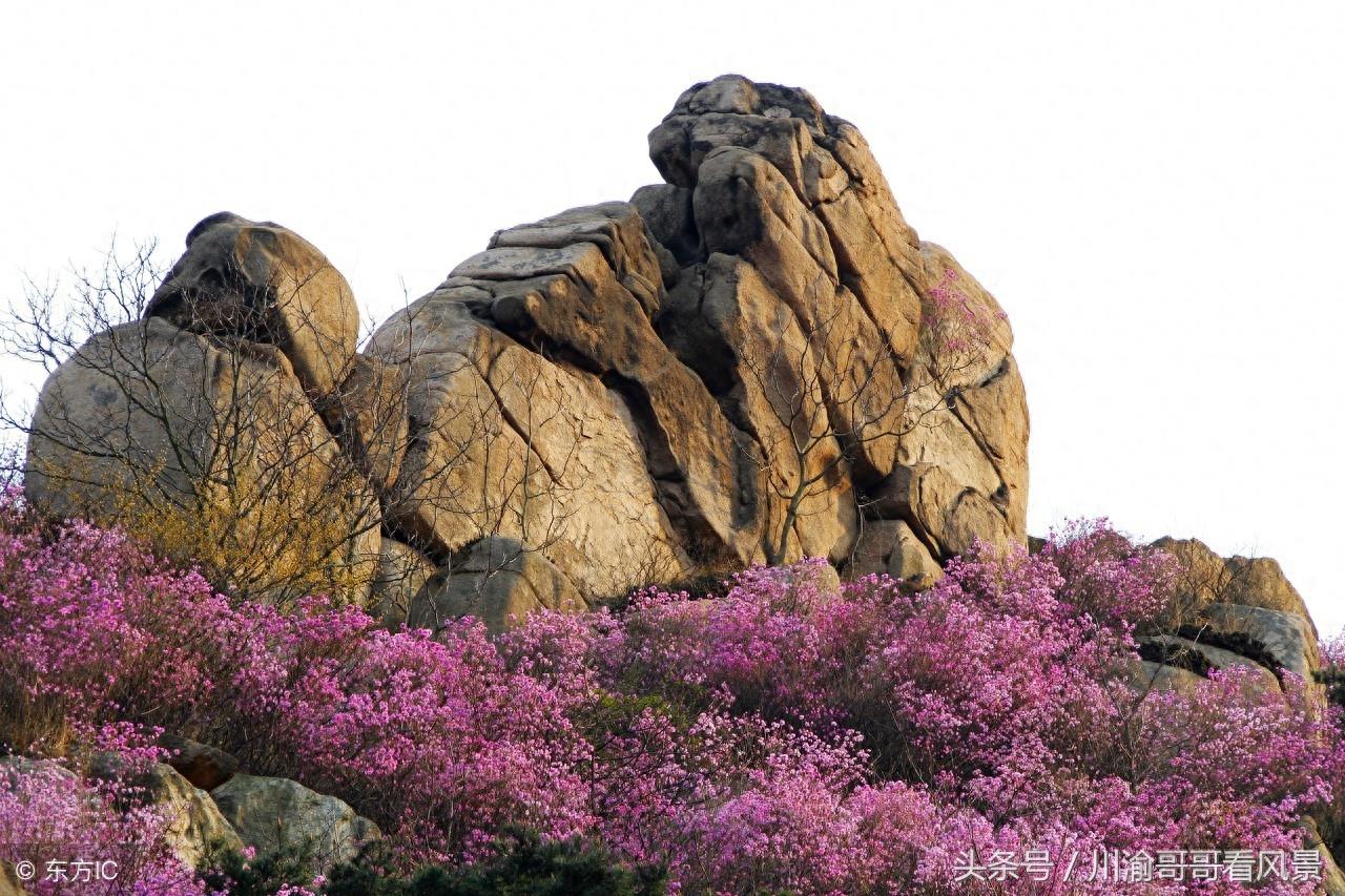 山东青岛大珠山