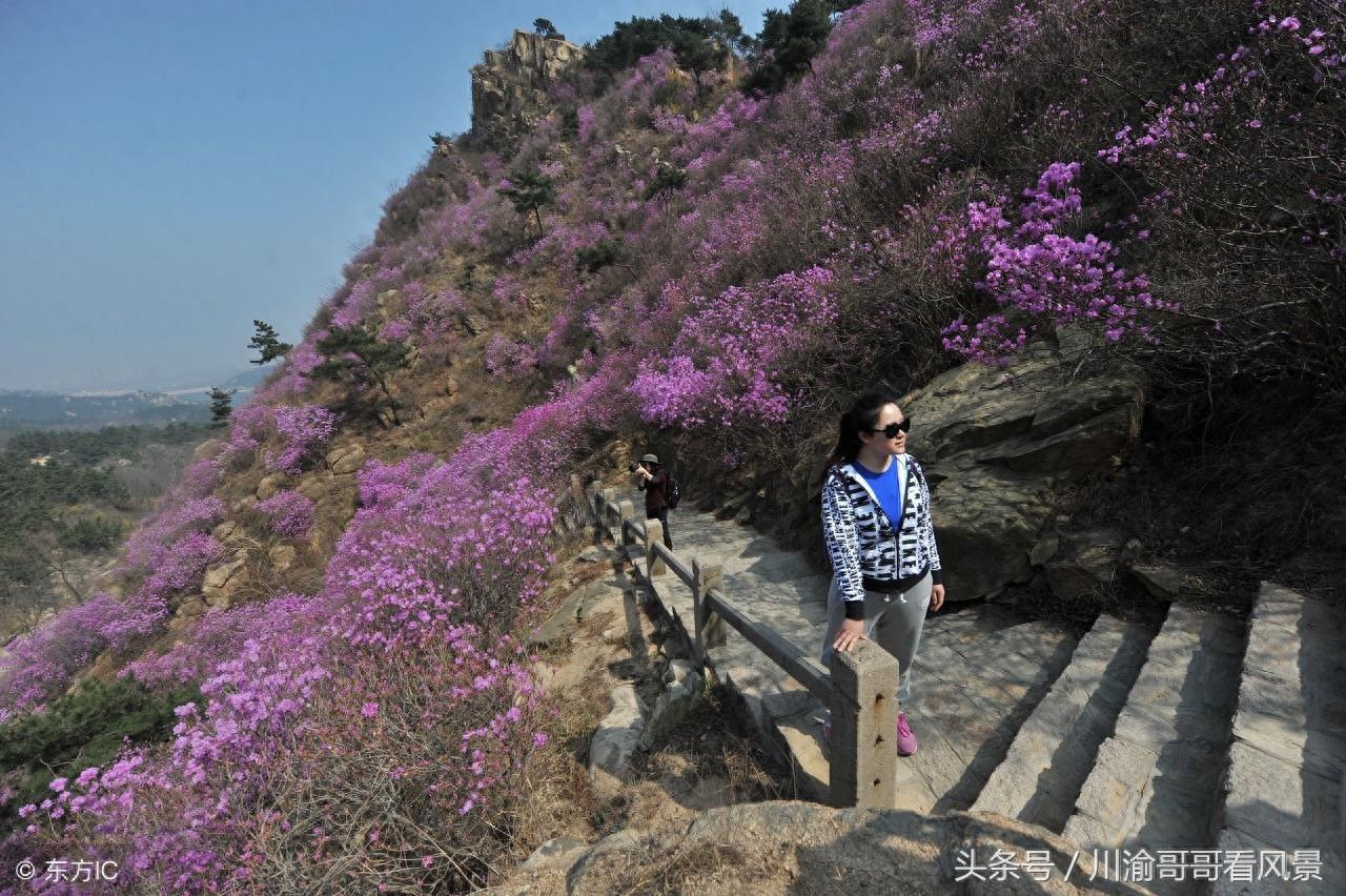 山东青岛大珠山