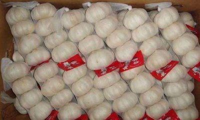 ​“邳州大蒜”首获国家生态原产地保护，厉害了我的徐州！