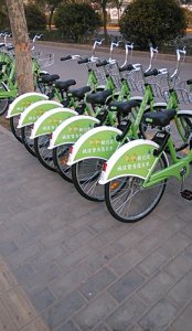 ​酷奇单车｜又爱又恨（上）