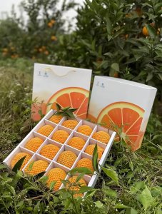 ​农村干啥赚钱？返乡创业这5个致富好项目，发家致富有望实现