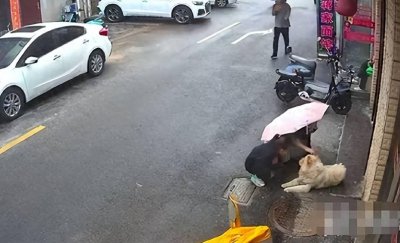 ​江苏松狮狗咬人后续：警方介入调解，双方僵持，狗子已被主人吊死