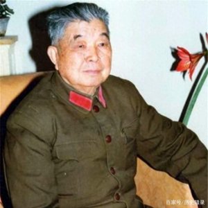 ​1944年386旅建制、主要领导授衔情况，以及参加的主要战斗