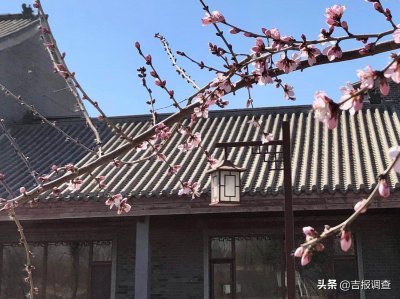 ​长春北湖国家湿地公园春花烂漫，风光旖旎似江南！