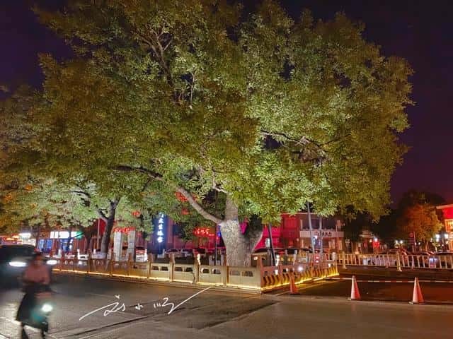 泰山是在哪里(泰山在哪里个城市)