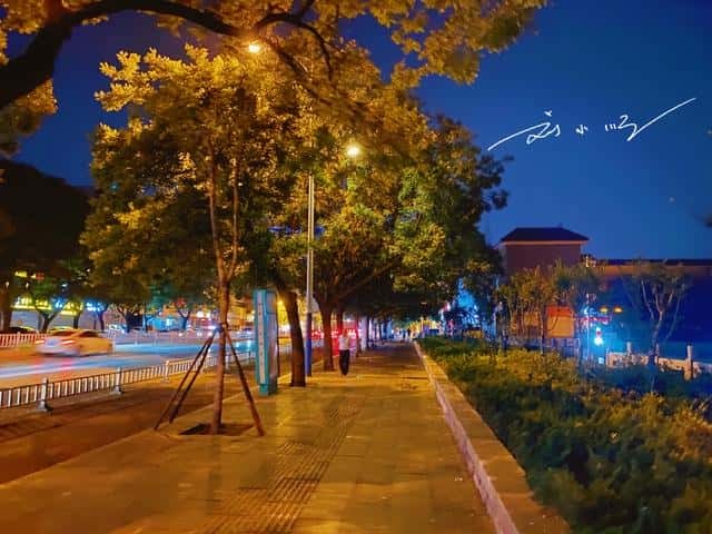 泰山是在哪里(泰山在哪里个城市)