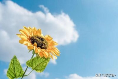 ​话少的男人的性格分析，越是少言少语的男人