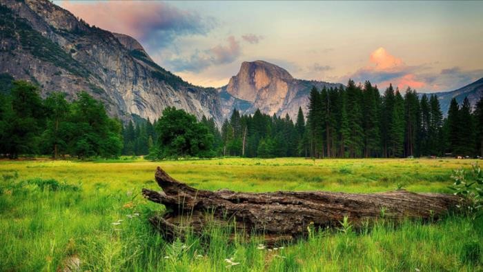 处座男不喜欢你的状态(处女座会因为什么不喜欢你)