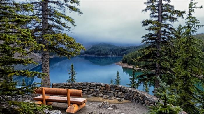 处座男不喜欢你的状态(处女座会因为什么不喜欢你)