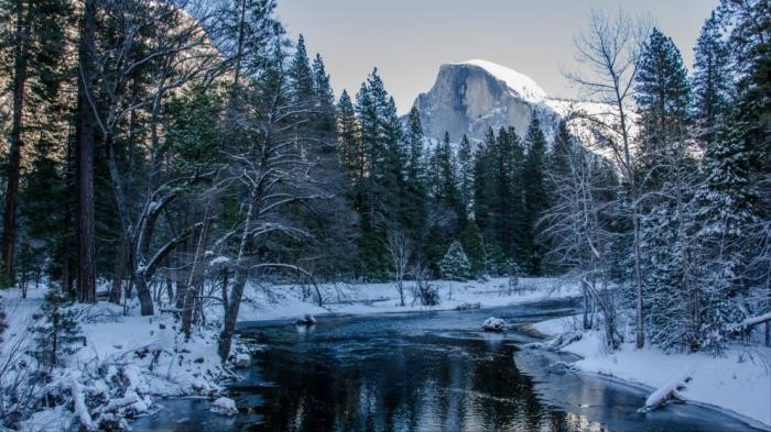 处座男不喜欢你的状态(处女座会因为什么不喜欢你)
