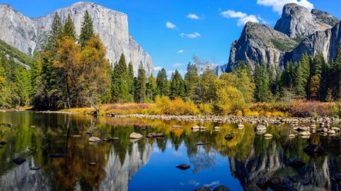 处座男不喜欢你的状态(处女座会因为什么不喜欢你)