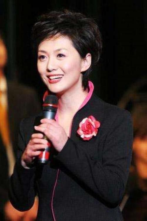 海霞个人资料，央视主持人第一美女,本文共（4250字）