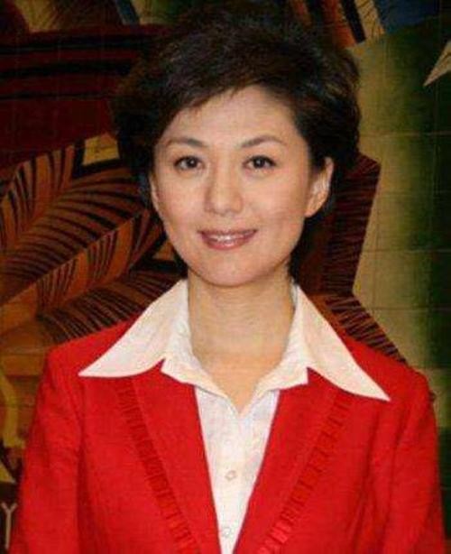 海霞个人资料，央视主持人第一美女,本文共（4250字）