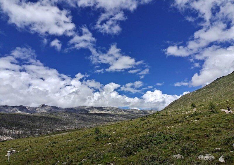 张启山为什么囚禁张起灵（盗墓笔记之张起灵传奇）