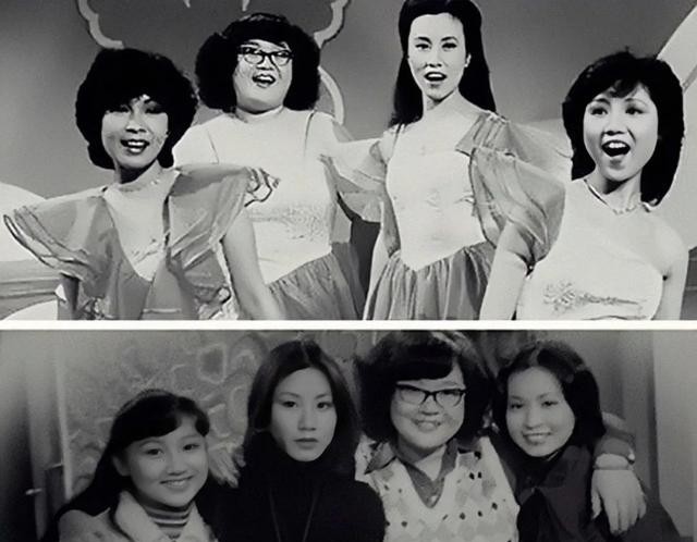 郑欣宜离婚是郑少秋的错还是沈殿霞（郑少秋沈殿霞郑欣宜）