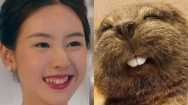 刘亦菲大笑女神形象全无（一大笑颜值就垮掉的5位明星）