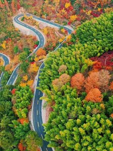 ​江浙沪周边自驾游路线汇总表，太有用了！果断珍藏，2025年走起