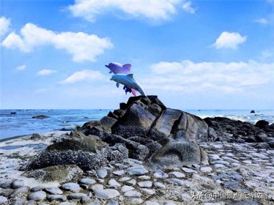 ​广西钦州三娘湾（中华白海豚之乡）4A级景区旅游攻略