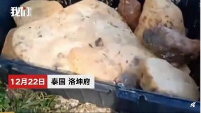 ​捡石头价值近百万？泰国一男子出海钓鱼竟捡回海琥珀价值近百万 网友表示又想骗