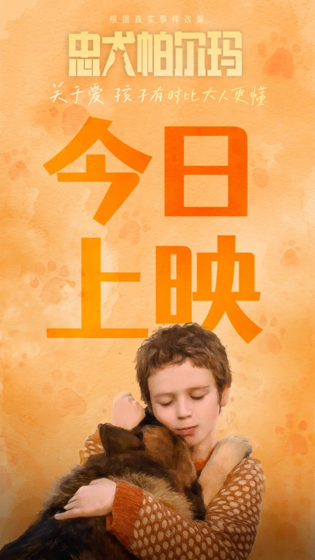让孩子受益一生的治愈系电影《忠犬帕尔玛》上映