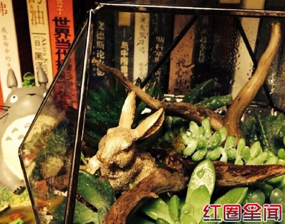 姚晨微博在被爆出轨后第一次更新