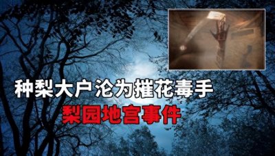 ​山西“梨园恶魔”连环杀人案：伪善面具下的丧心病狂