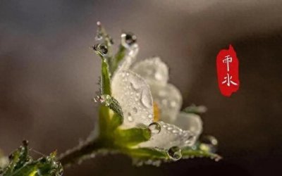 ​对于预示下雨的种种迹象，你了解多少？来看雨水节气的神秘预兆！