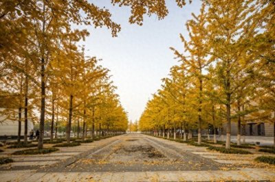 ​成都银杏酒店管理学院简介