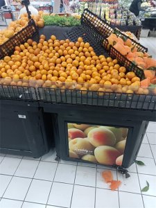 ​黄岩蜜桔：历史与文化的交融