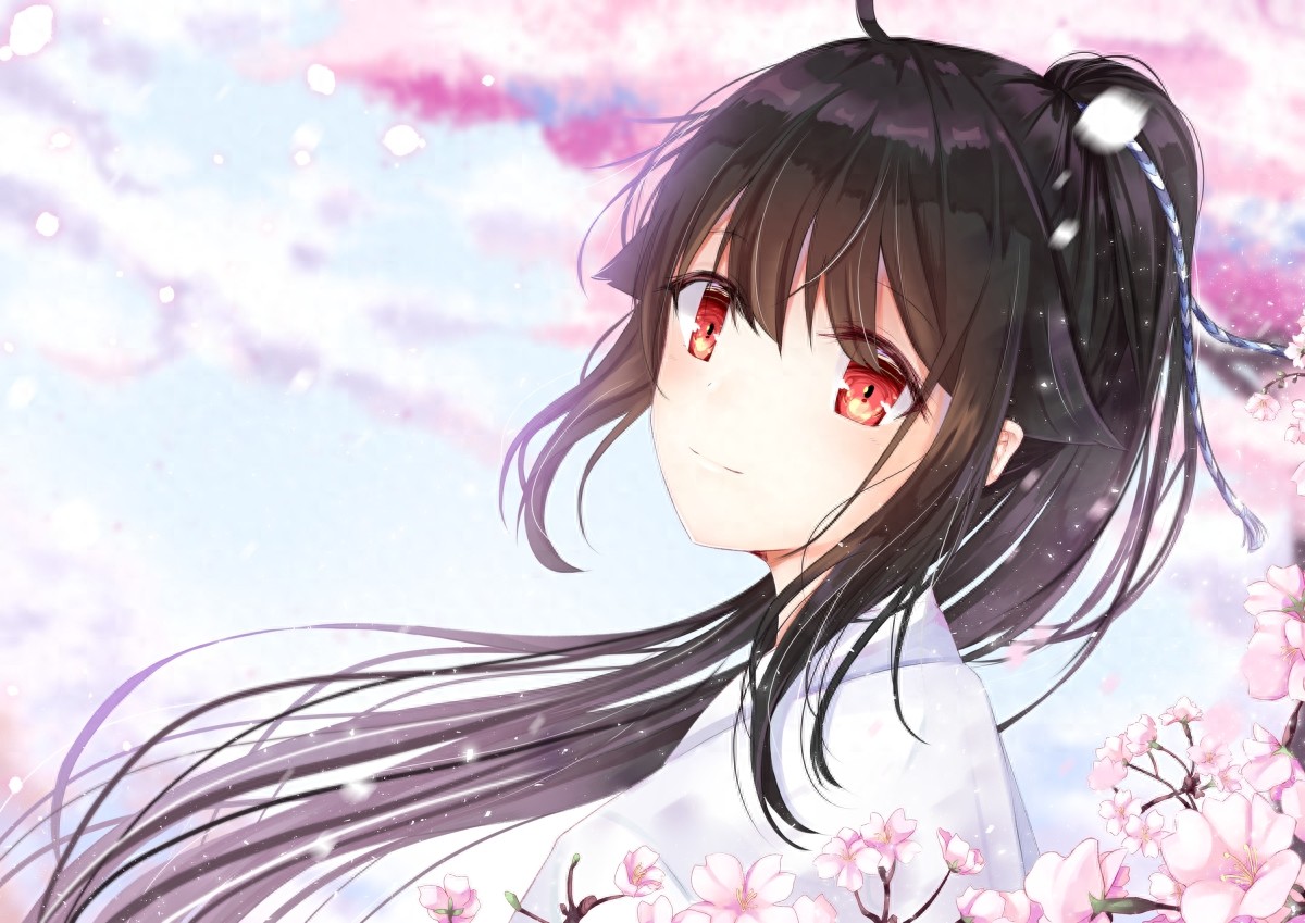 插画：樱花盛开，唯美的二次元樱花动漫美图