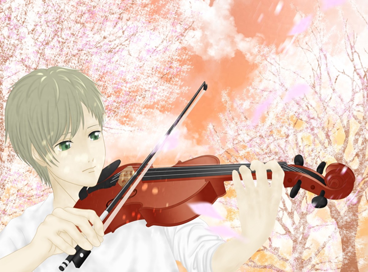 插画：樱花盛开，唯美的二次元樱花动漫美图