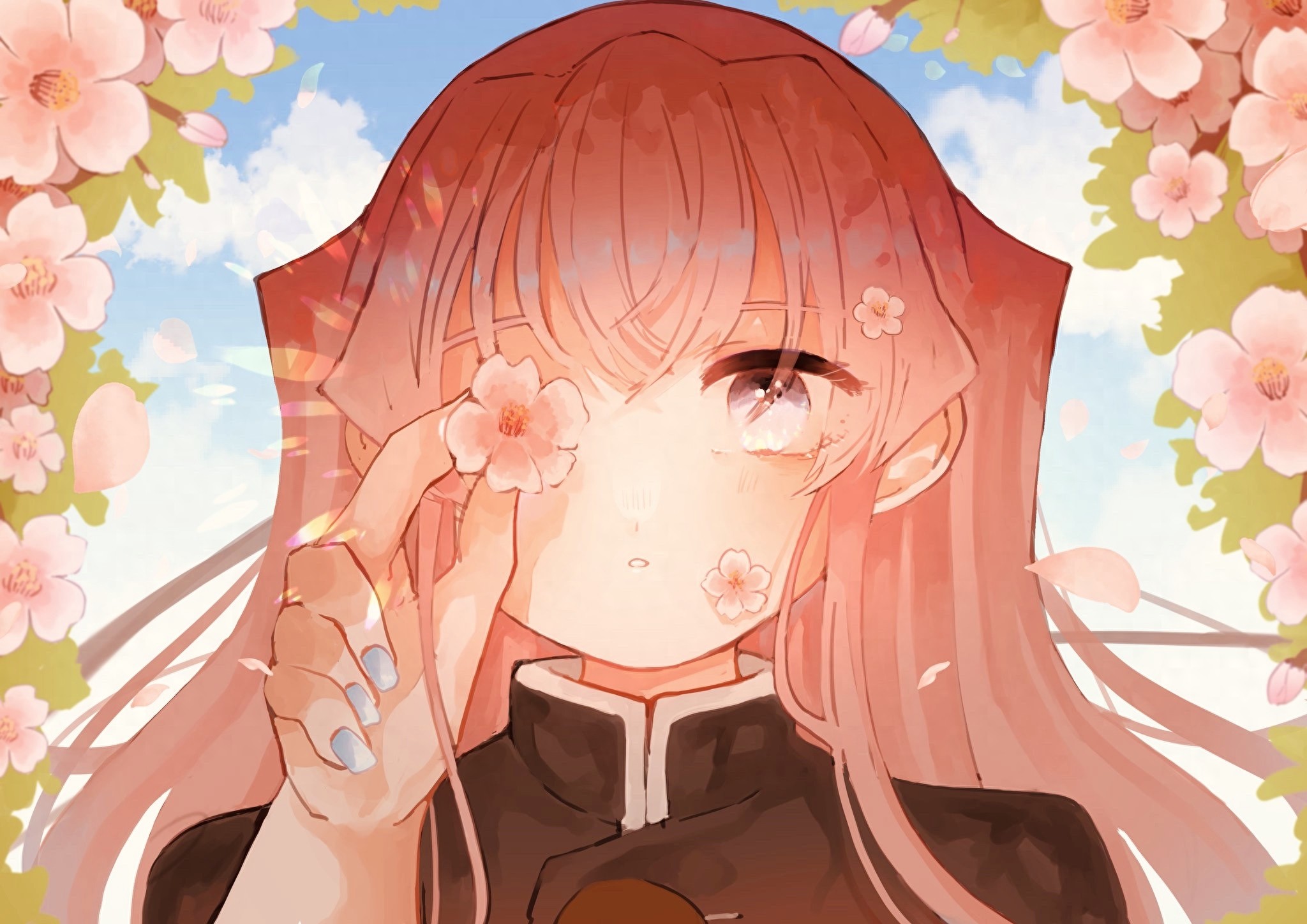 插画：樱花盛开，唯美的二次元樱花动漫美图